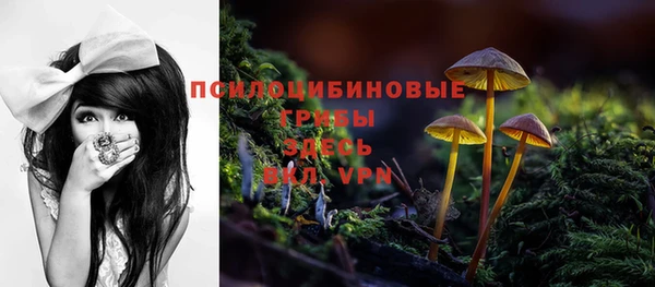 apvp Арсеньев